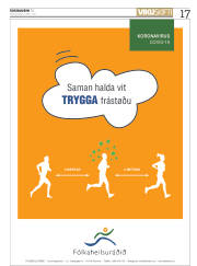 Síða 17