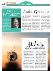 Síða 22