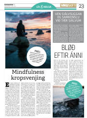 Síða 23
