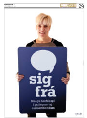 Síða 29