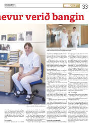 Síða 33