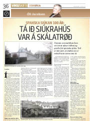 Síða 36