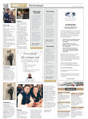 Síða 38