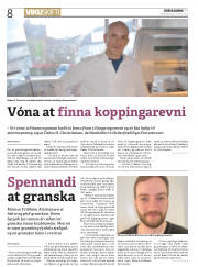 Síða 8