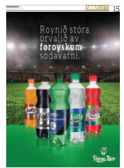 Síða 15