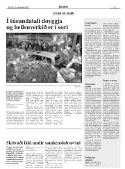Síða 17