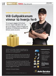 Síða 18