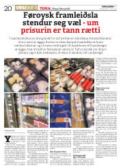 Síða 20