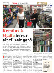 Síða 25