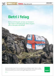 Síða 36