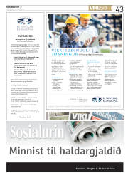 Síða 43