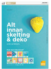 Síða 48