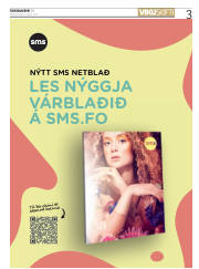Síða 3