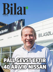 Síða 15
