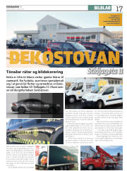 Síða 17
