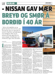 Síða 18
