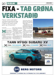Síða 20