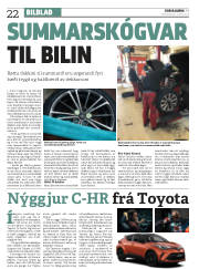 Síða 22