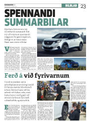 Síða 23
