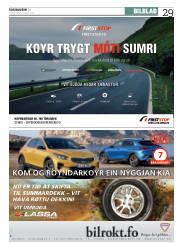 Síða 29