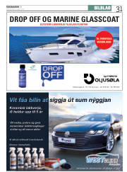 Síða 31