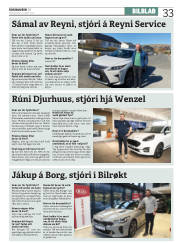 Síða 33