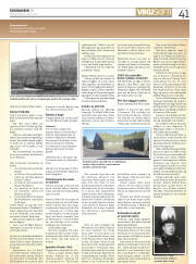 Síða 41