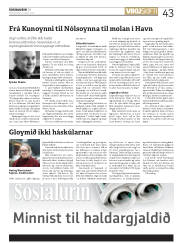 Síða 43