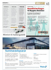 Síða 45