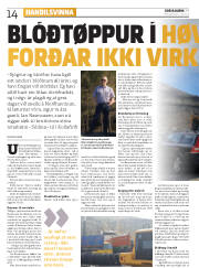 Síða 14