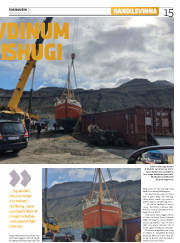 Síða 15