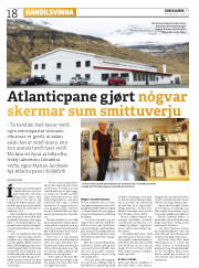 Síða 18