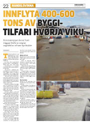 Síða 22