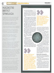 Síða 6