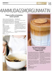 Síða 15