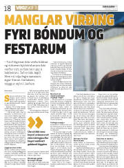Síða 18