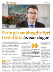 Síða 20