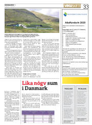 Síða 33
