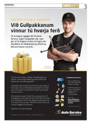 Síða 3