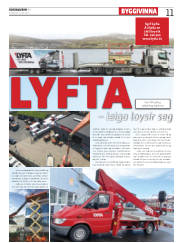 Síða 11
