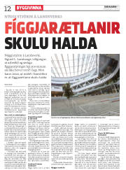 Síða 12