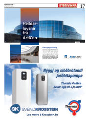 Síða 17