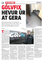 Síða 18