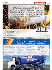 Síða 19