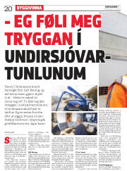 Síða 20