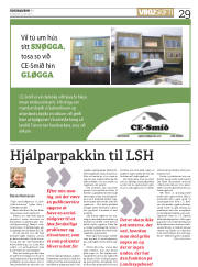 Síða 29