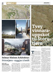 Síða 8