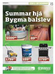Síða 15