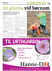 Síða 19