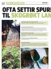 Síða 20